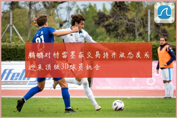 鹈鹕对特雷墨菲交易持开放态度或迎来顶级3D球员机会