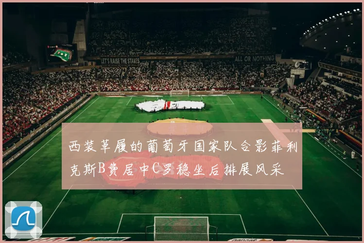 西装革履的葡萄牙国家队合影菲利克斯B费居中C罗稳坐后排展风采