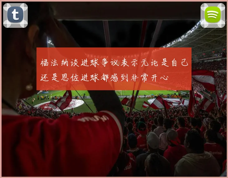 福法纳谈进球争议表示无论是自己还是恩佐进球都感到非常开心